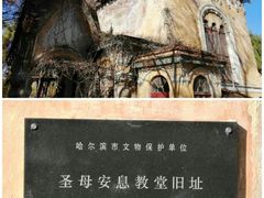 -哈尔滨文化公园
