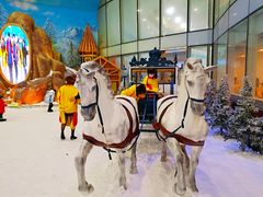 -世界之窗阿尔卑斯冰雪世界