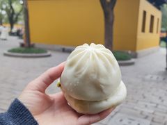 菜包子-西园寺素食(西园弄戒幢律寺店)
