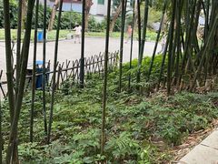 -晓港公园