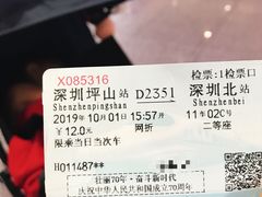 -深圳坪山站