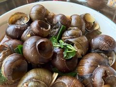 -遇龙河大樟树农家乐