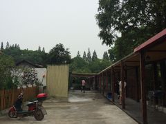 -长兴岛郊野公园农场食堂