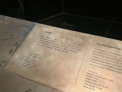 -上海之巅观光厅