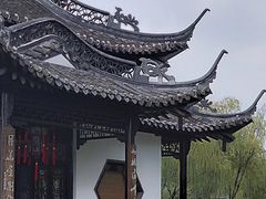 -荷兰花海