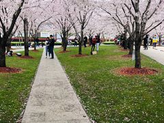 -龙美术馆西岸馆-停车场