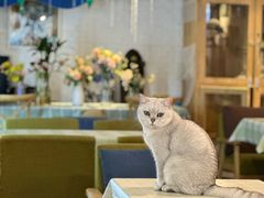 -花与咖啡馆(金星楼店)