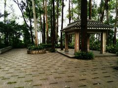 -南岗山公园