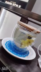 -崇尚GAVIN STYLE臻选