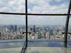 -东方明珠广播电视塔