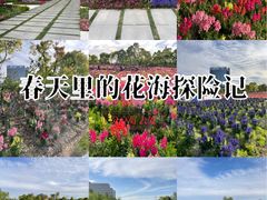 -春花秋色城市公园