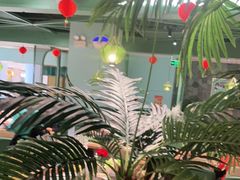 -春润大地海南椰子鸡(沙井京基百纳广场店)