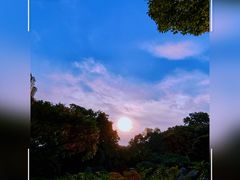 -中山公园