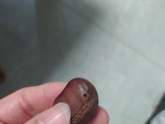 -粒上皇(市桥易发商业街店)