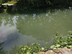 -黄牛肉馆·皖南土菜
