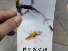 -上海大自然野生昆虫馆(东方明珠·爬宠昆虫探索中心)