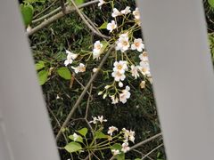 -福道