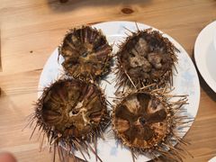 -海胆小馆(东北水饺·春柳店)