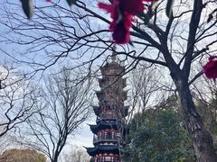 -上海佘山国家森林公园西佘山园