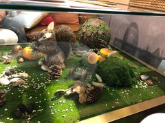 -初拾·花里餐厅(钜城华亿店)