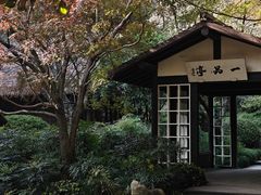 -中国茶叶博物馆(双峰馆区)