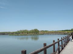 -西青郊野公园