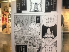 -东京塔海贼王主题公园