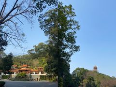 -深圳仙湖植物园