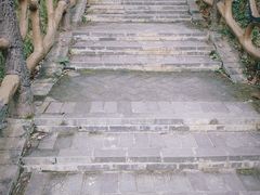 -青龙山国家森林公园