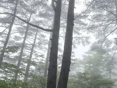 -黄山白云宾馆