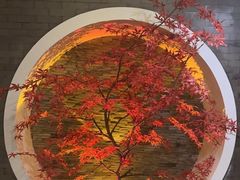 -金狮麟·新豫菜(金码大厦店)