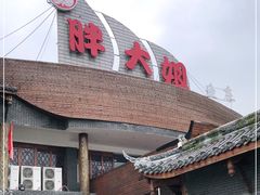 -胖大姐黄辣丁鱼庄(新津店)