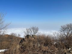 -阳台山自然风景区