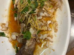 -凤齐羊肉烩面馆