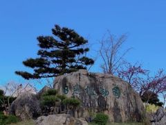 -渡海小渔村.老辈日照菜