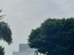 -广州白天鹅宾馆