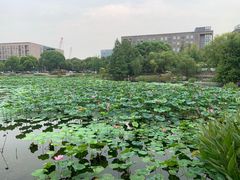 -3W咖啡(国家软件园店)