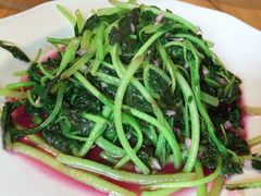 -WILDS 野有食(碧坞店)