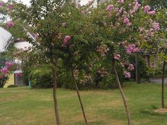 -南通鹏欣花园国宾酒店