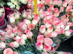 -循礼门鲜花花市(武汉循礼门店)