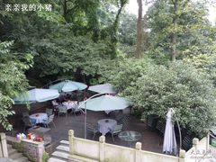 -龙井壹号·茶缘山景宴(龙井村店)