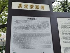 -嘉定紫藤园
