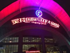 -灵玲国际马戏城