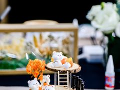 -奔驰利星行(北京花乡店)