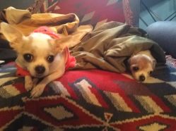 店内环境-椿树下·Tattoo纹身工作室