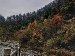 -朝阳沟