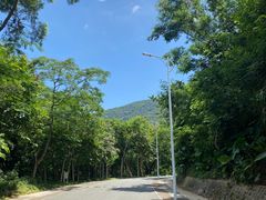 -梧桐山风景名胜区