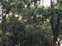 -栖露营camping·天幕烧烤·团建拓展·采摘营地