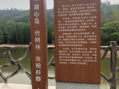 -滴水岩森林公园