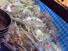 -福禧荟·海鲜自助